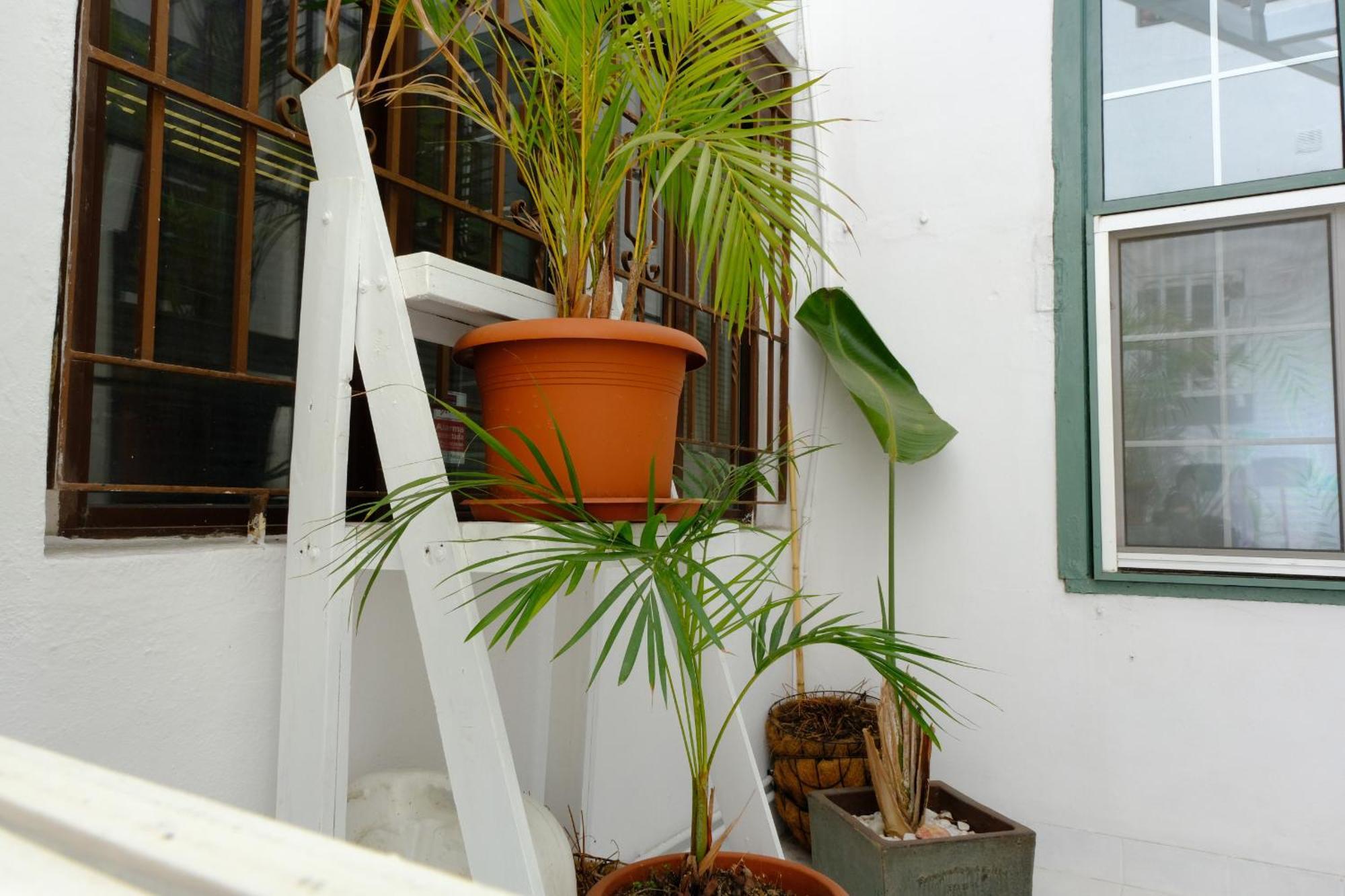Rooftop Dreamhouse - 3Br With Seaviews Санта-Крус-де-ла-Пальма Екстер'єр фото
